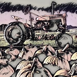 Uncle Shuck's Pumpkin Patch