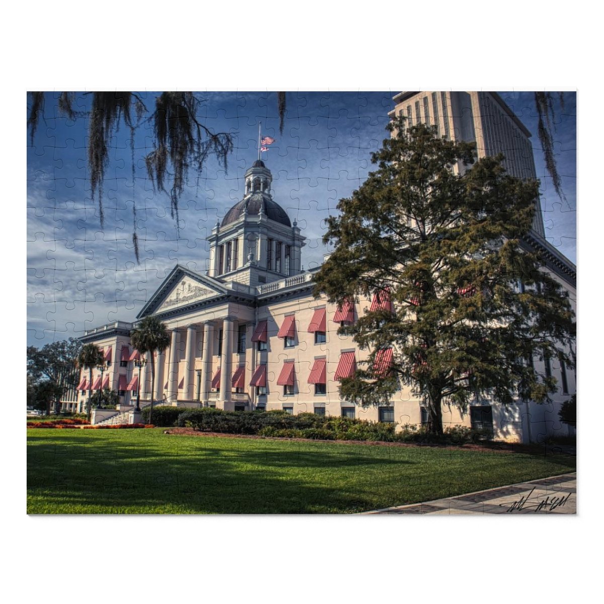 Florida State Capitol Building Jigsaw Puzzle (252, 500 or 1000-Piece) –  Samuel McCall, image size:1200x1200