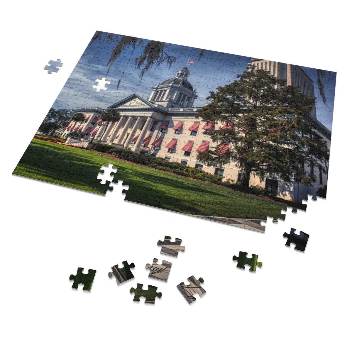 Florida State Capitol Building Jigsaw Puzzle (252, 500 or 1000-Piece) - Image 2