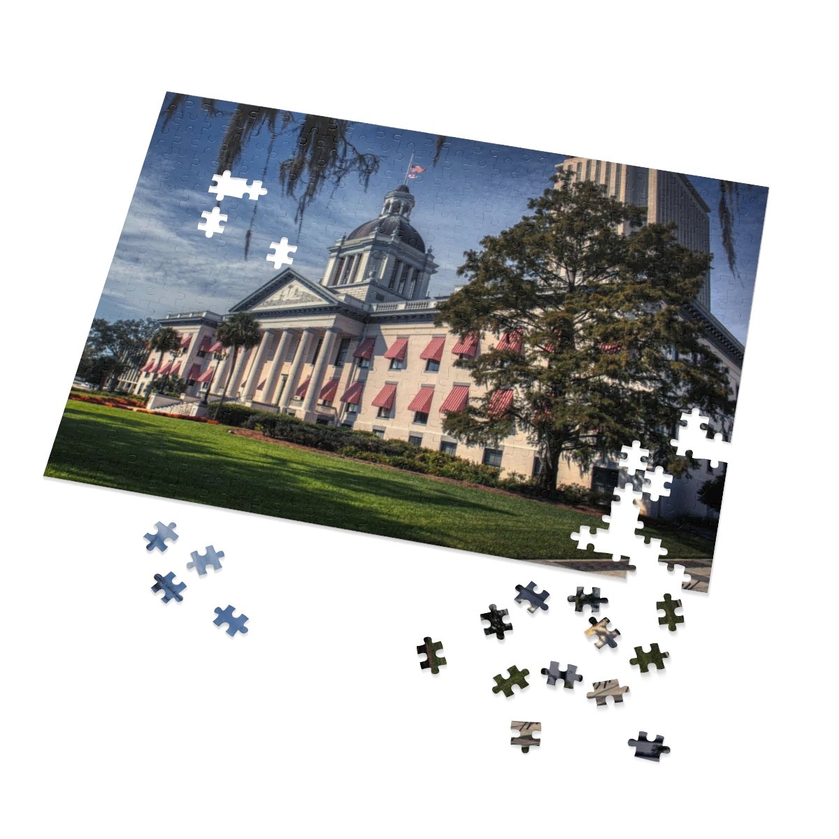 Florida State Capitol Building Jigsaw Puzzle (252, 500 or 1000-Piece)