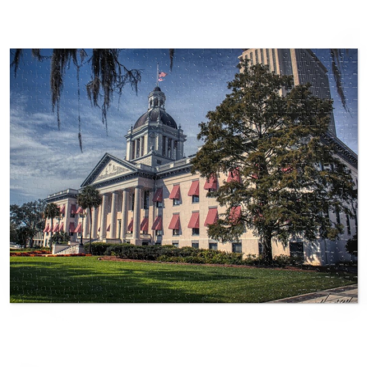 Florida State Capitol Building Jigsaw Puzzle (252, 500 or 1000-Piece) - Image 4